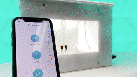 Photographing earrings using the GemLightbox
