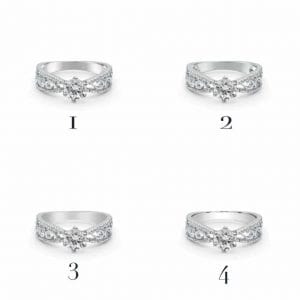 Jewelry Photo Retouching: How to Retouch the Back Shanks of the Rings