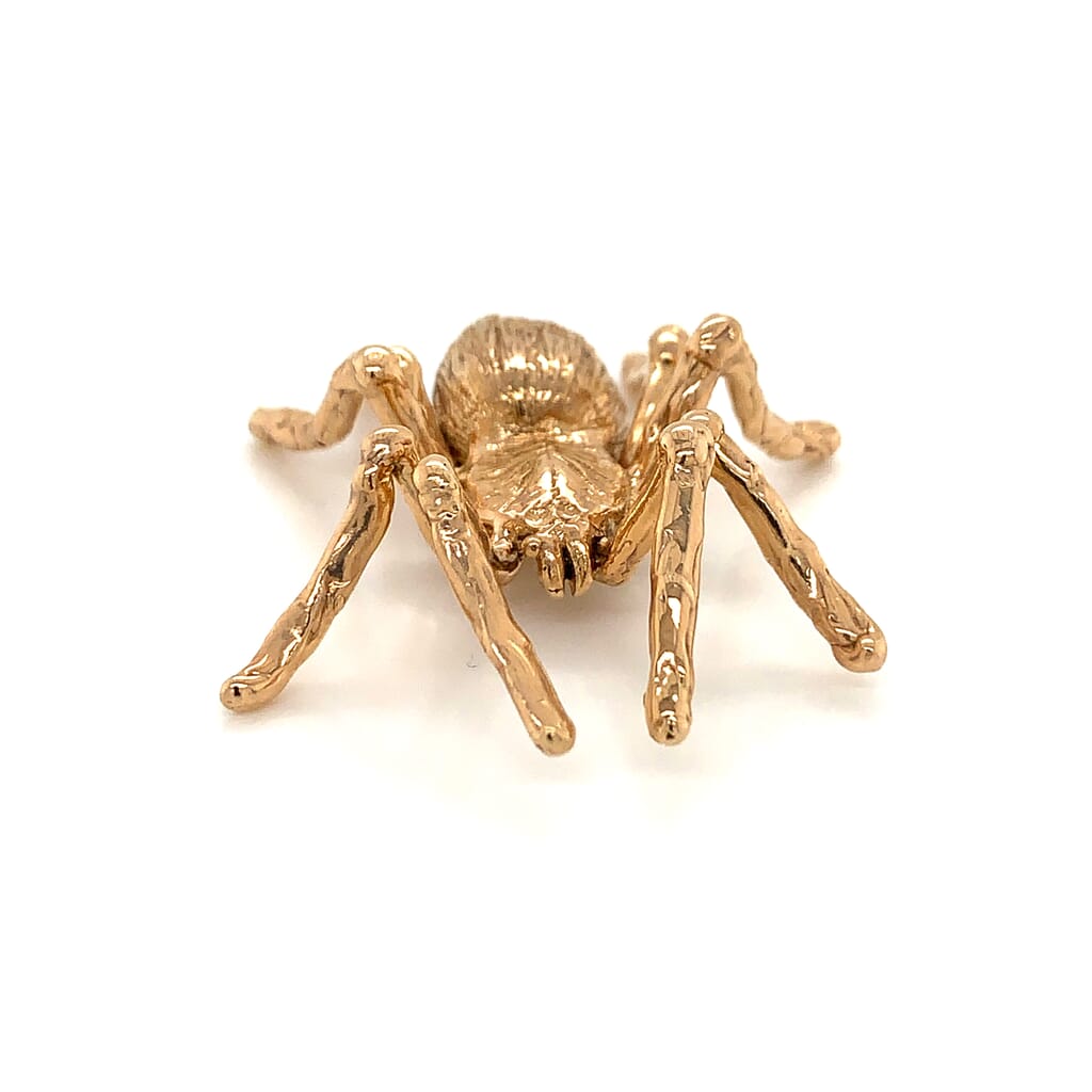 gold spider gold spider